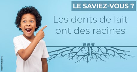 https://dr-nizard-veronique.chirurgiens-dentistes.fr/Les dents de lait 2