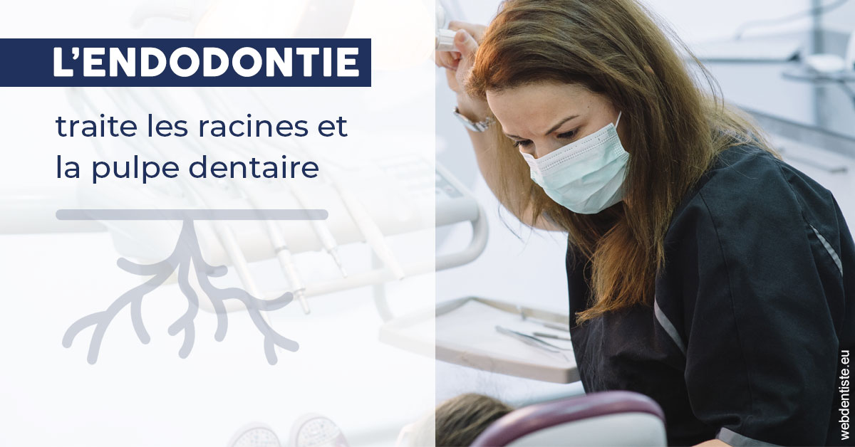 https://dr-nizard-veronique.chirurgiens-dentistes.fr/L'endodontie 1