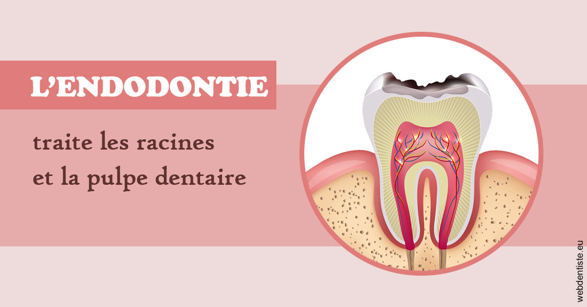 https://dr-nizard-veronique.chirurgiens-dentistes.fr/L'endodontie 2