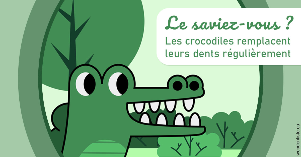 https://dr-nizard-veronique.chirurgiens-dentistes.fr/Crocodiles 2